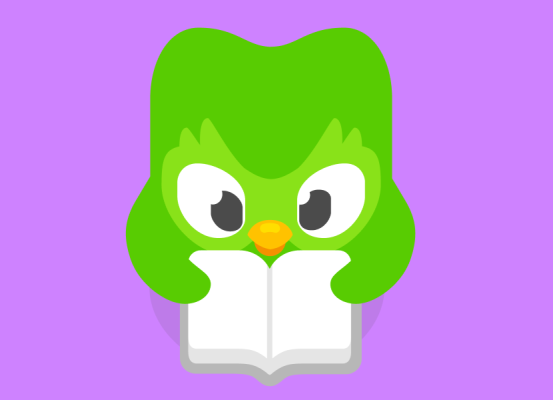 کدام کشورها مدرک دولینگو را برای مهاجرت قبول دارند؟