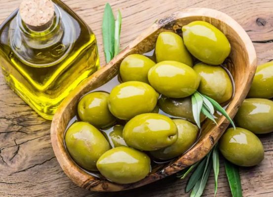 زمان طلایی برداشت زیتون؛ از باغ تا روغن خالص